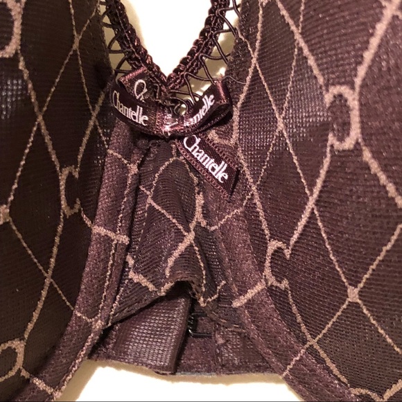 CHANTELLE Brown Bra (32DD) & Natori Panty (Med) - Picture 2 of 6